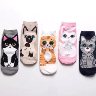 H 79427 Cute Cartoon Pet Socks ��ͨ������m �羳�W�����R