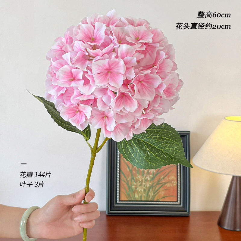 라이트 핑크 리사 수국 단일 지점