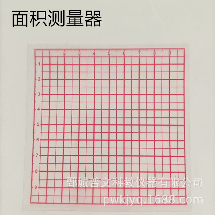 J20533面积测量器学生用小学数学教学仪器实验器材幼教科学实验