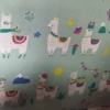 Little sheep