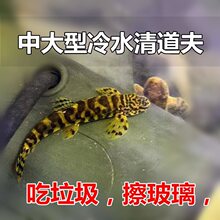 �д�����ˮ����� �\�����~���坍�~ �����~ ԭ����ˮ�~ �t�ѿ��q