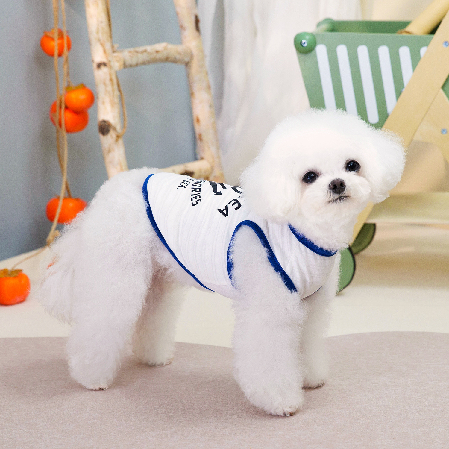 Camiseta regata estilo marinheiro para cães pequenos, como Teddy e Bichon Frisé, ideal para brincar. Roupa fresca e respirável para pets._voghion.com