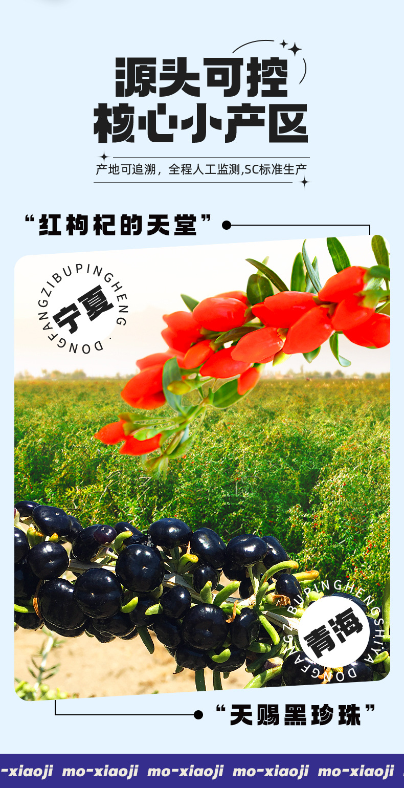 Black and Red Goji Berry Juice Concentrate 1.8L 60 Sachets Fresh Pressed Wolfberry Drink quality and texture