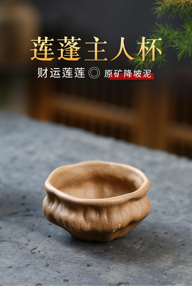 莲蓬 (1).jpg