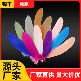鹅羽毛15—20厘米彩色鹅大硬飘羽毛diy手工逗猫棒配料羽毛