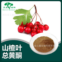 ɽ��~���Sͪ5%-80% ɽ��~��ȡflavonoids ˮ�����Sͪ������