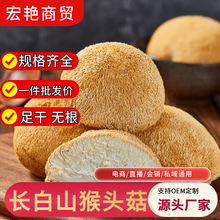 东北长白山猴头菇特产干煲汤食品养生滋补散装批发包邮猴头猴头菇