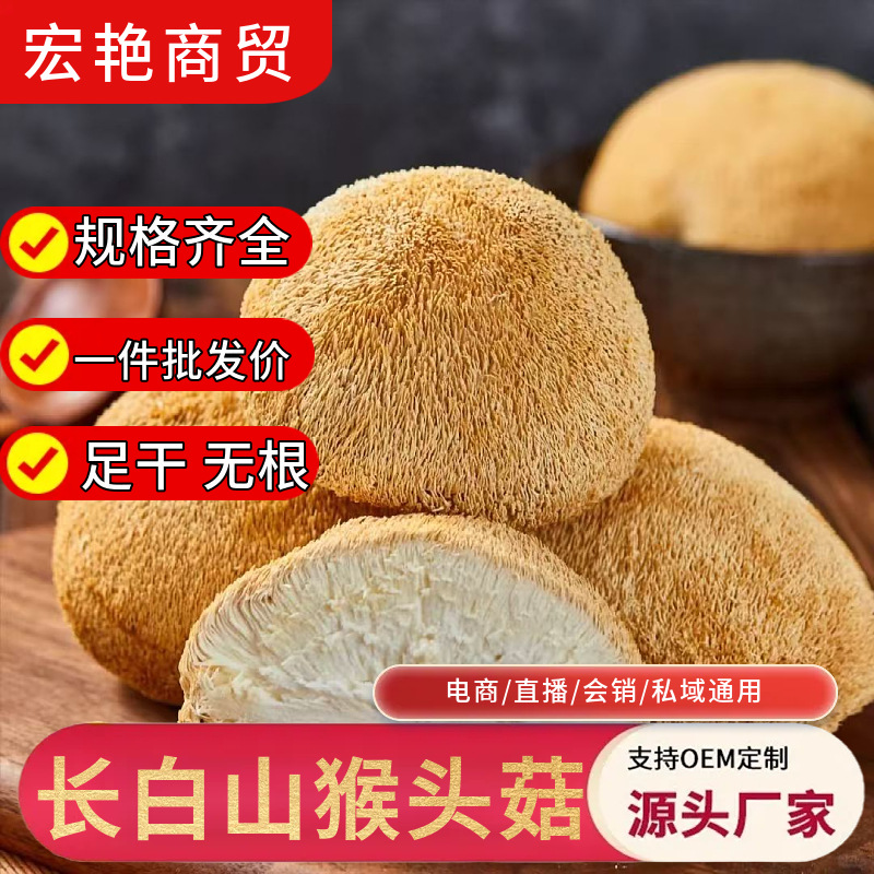 东北长白山猴头菇特产干煲汤食品养生滋补散装批发包邮猴头猴头菇