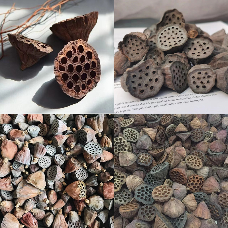 Natural Dried Lotus Canopy Soaking Water with Seeds Small Lotus Head with Lotus Canopy Room Lotus Shell Lotus Canopy Dried Flower Decoration Zen Flower Arranging