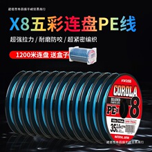 100��12�B�P��8�����·������������������ҧ�����R��~�����l