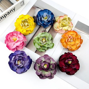 �ͮ��͹�¶ɏ���^ ��ɫĵ���ٻ� diy���h�^��� �ҾӔzӰ�[��