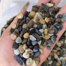 批发地暖豆石 耐高温汗蒸鹅卵石 园林铺路造景雨花石子水处理滤料
