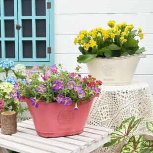 temu�羳����ӡ�����FƤͰ��Ͱ�̨���@�͹����f�@ˇ�b[������