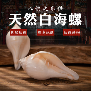 �Ჴ���׺��ݔ[�����ݰ˹���Ʒ��Ȼ�������ݲ؂�