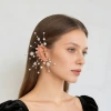 E-042 (right ear)