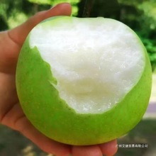 ���ڴXɽ���殔��ˮ�����r���ӻʹ�����Ƥ��ѩ�����������ζ��֭