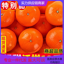 【活动款】正宗云南沃柑新鲜水果现摘整箱对接电商直播源头直发