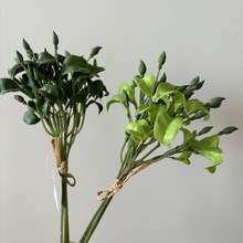 �������~�� ܛ�z�~��С�ѻ��Ҿ��b�c����������Gֲ���滨