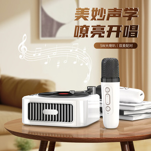 Microphone Speaker Retro Bluetooth Small Audio Integrated Portable Mini Ok Singing Microphone Gift Outdoor Audio