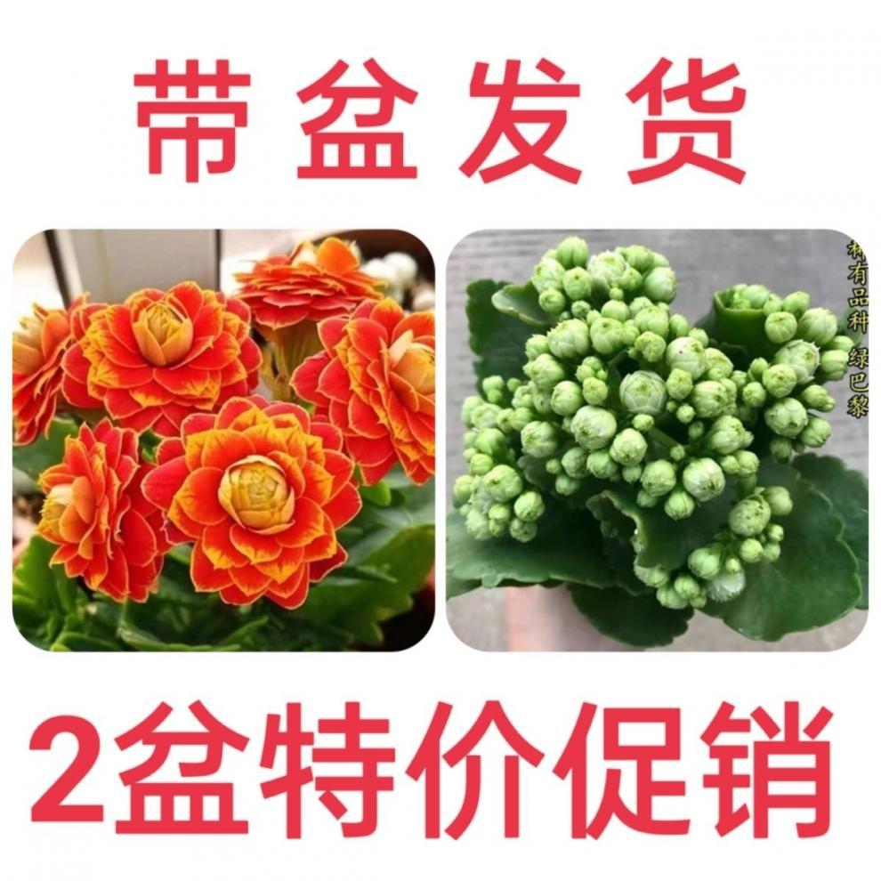 868d8b61-fd20-4aea-9475-df33423ab55f.jpe