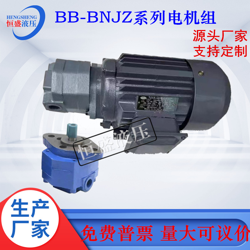 BB-B25NJZ-1 B16N B32N B40N B80 B100NJZ-1立卧式齿轮油泵电机组