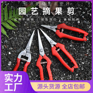 Gardening Scissors Stainless Steel Branch Pruning Shears Fruit Picking Scissors Garden Fruit Tree Flower Branch Grafting Tools