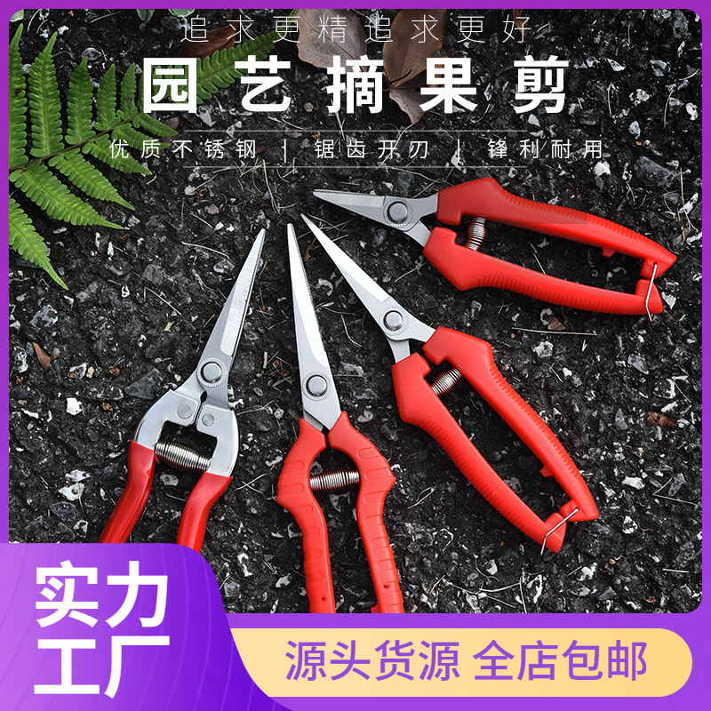 园艺剪刀不锈钢树枝修枝剪摘水果花木剪子园林果树花卉枝嫁接工具