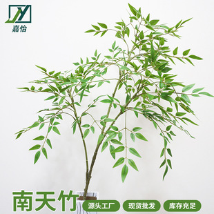 �������w��������~���~��ֲ���҃������b[���پGֲ�b��쾰