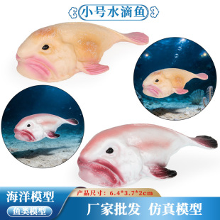 ���挍��ˮ���~�n�������~��������ͯ���ģ���J֪����[��