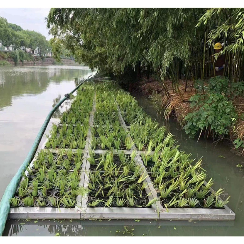EVA вспененная доска Экологический плавающий остров для посадки дождевой воды усиленное оборудование для обработки пены высокой плотности