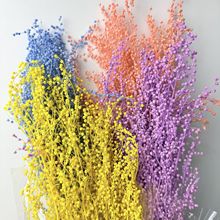 �����������㶹�ɻ������������������ϲ廨�仨�b��ĺ��鶹