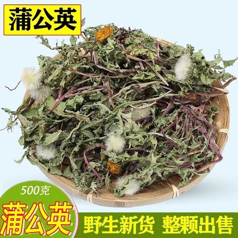 Origin Wholesale Dandelion Whole Chinese Medicinal Materials New Color Green Dried Dandelion Tea Mother-In-Law Diced Slices Drop Shipping Origin Wholesale Dandelion Whole Chinese Medicinal Materials New Color Green Dried Dandelion Tea Mother-In-Law Diced Slices Drop Shipping