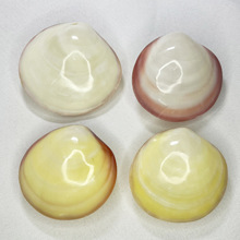 ��Ȼ����ؐ���۸�[���Ĕz����ˮ���쾰�~���b�����ؐ����[��