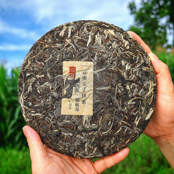Brown Mountain Pu'er tea raw tea cake 357g one piece free shipping…