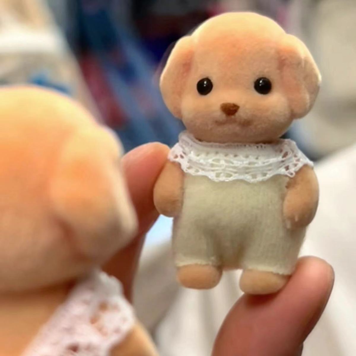 푸들 [팔다리 가동 + PP 가방 + 옷] 상자 없음