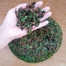 安溪铁观音冰茶湿茶带梗茶叶浓香型兰花香乌龙茶带梗毛茶