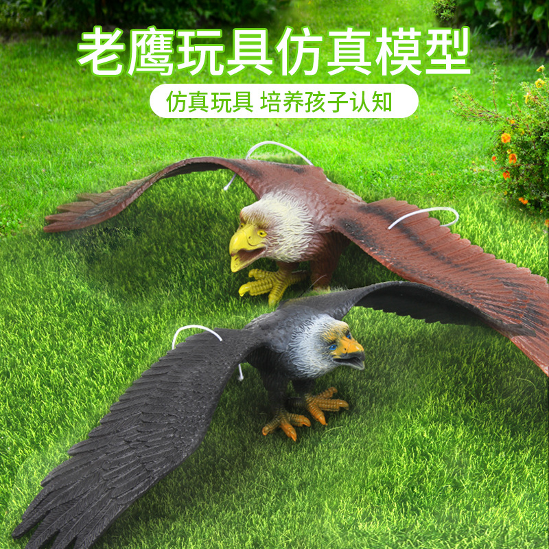 仿真老鹰模型玩具捏捏叫飞禽动物玩具金雕大鹏摆设装饰猫头鹰模型