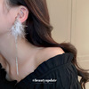 Asymmetrical silver needle, design long earrings, trend of season, internet celebrity