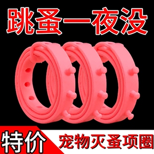 ؈������Ȧ������x�Ȧ؈Ȧ�������ʭ�ӷ����x����Ȧ������