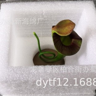 Manufacturer Produces Pearl Sponge Packaging/Pearl Sponge Inner Tray/Pearl Sponge Lining/Pearl Sponge Lining