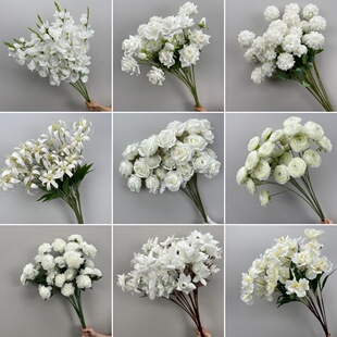 ��ɫϵ��c��ˇõ�廨��ĵ�����Ļ�Y�ñ����廨����bٻ�