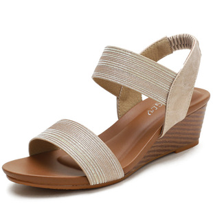 Sandals Women's Shoes with Roman Shoes Fairy Style New Summer Large Size Wedge Fashion Women's Shoes 1418-169A