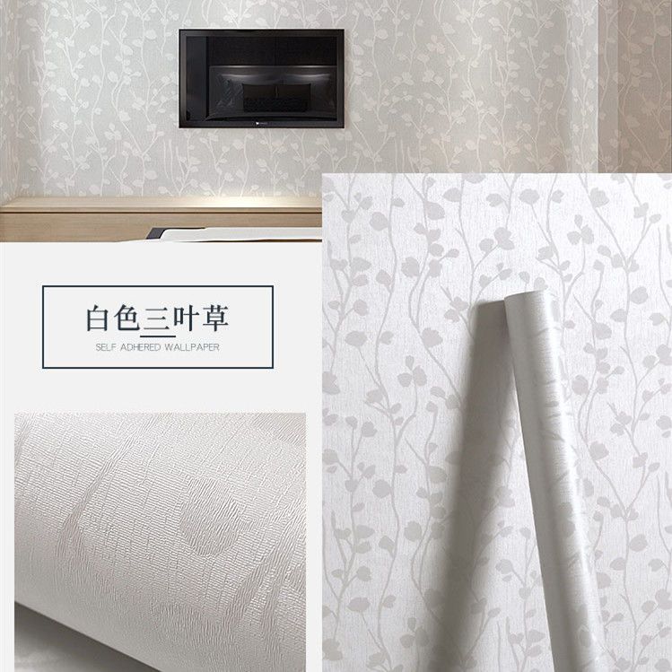 【经典热销】白三叶草✦✦