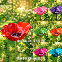 �羳���ℓ�ⲣ������ι�B�� ͥԺ���@���ٻ��ز��ˮ�� �@ˇ�b�