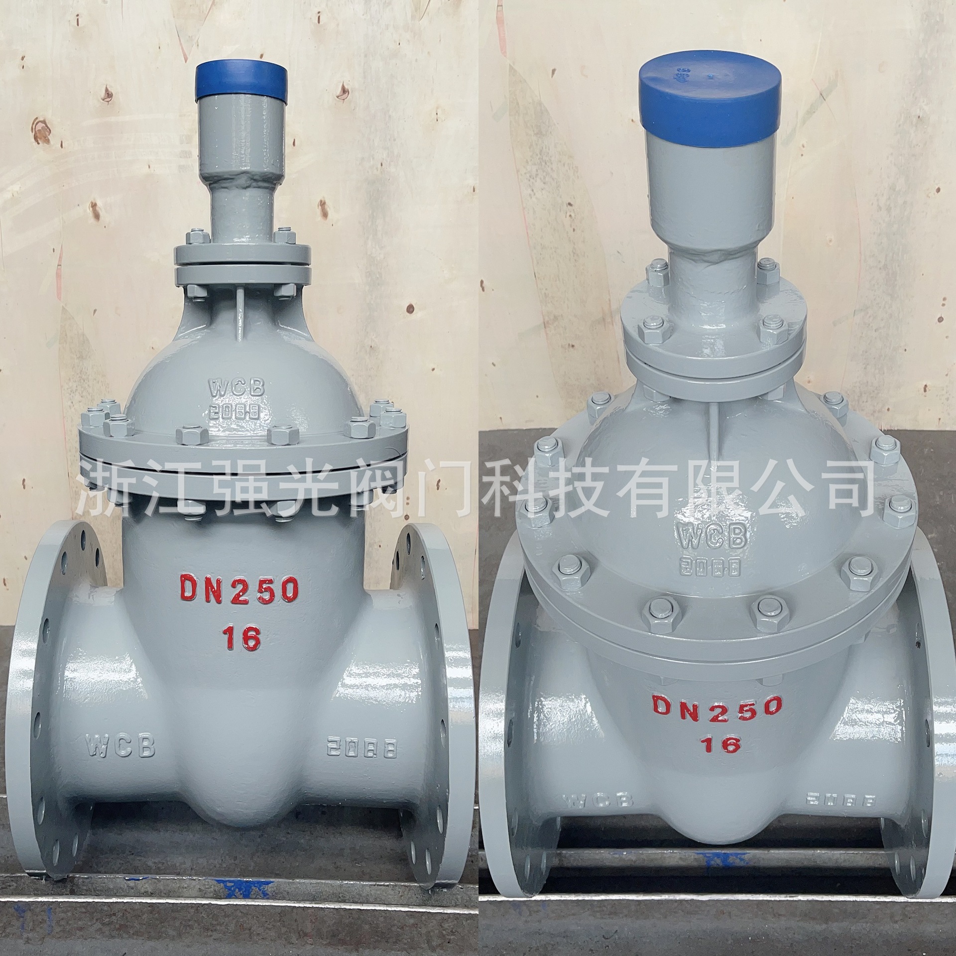 FDZ45H-16C,FDZ45H-25C,铸钢碳钢，防盗法兰闸阀，防盗锁闭闸阀