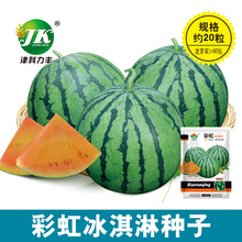 厂家批发彩虹冰淇淋西瓜种子小型礼品水果种籽圆形盆栽薄皮小西瓜