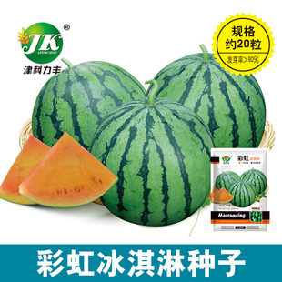 �S�����l�ʺ��������ϷN��С�ͶYƷˮ���N�шA�����Ա�ƤС����