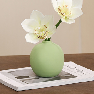 ���O���մɻ�ƿ��ˇ�[�����P�����b����õ��õ����滨С��ƿ