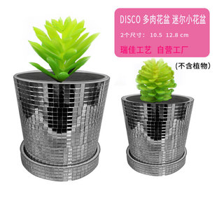 �}�Q�� DISCO���� �����RƬ���� �Nֲ�C ���⻨��  �Ԡ�DISCO����