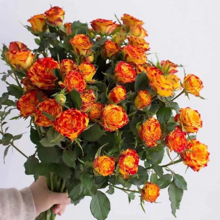 微信图片_20230323014329_副本